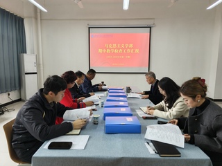 期中教学检查